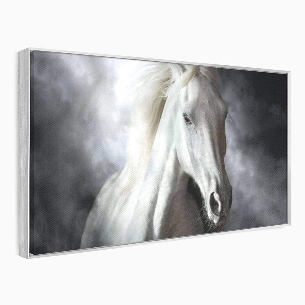 Tablou canvas cu tablou canvas cu un cal alb si nori, in rama de aluminiu argintiu